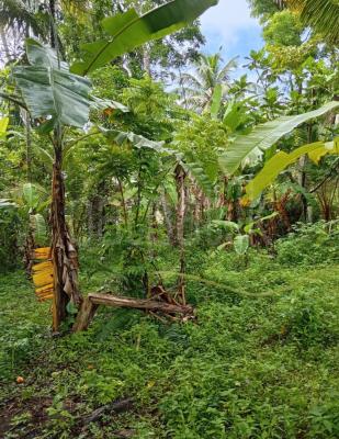 Residential Land for Sale in Yakkala
