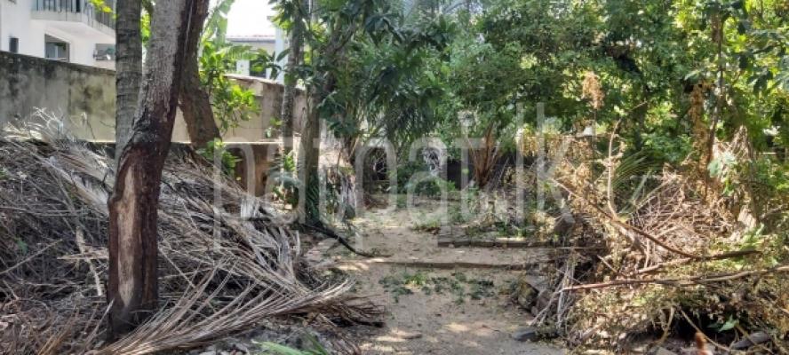 premium-listing-image