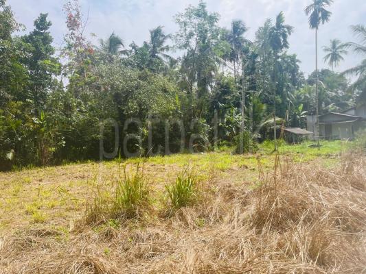 Agricultural Land for Sale in Kirindiwela