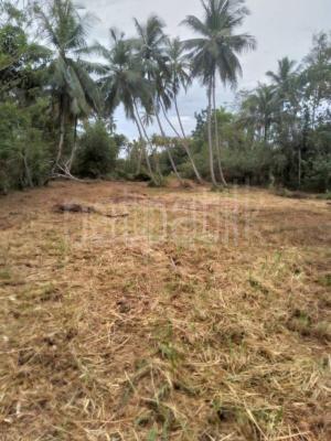 Agricultural Land for Sale in Wariyapola