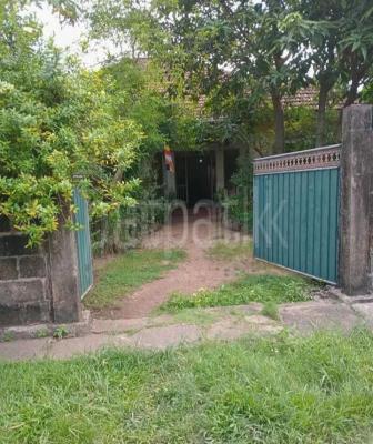 premium-listing-image