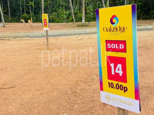 premium-listing-image