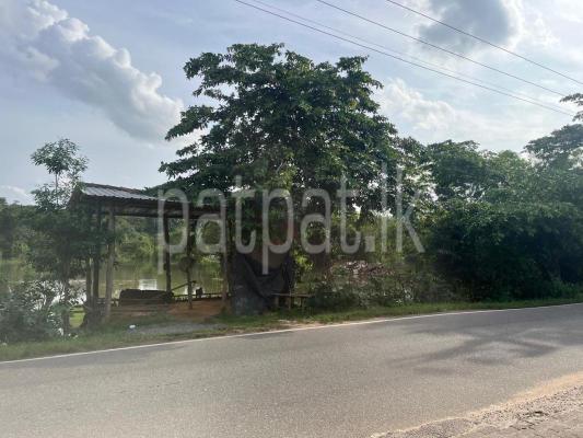 premium-listing-image