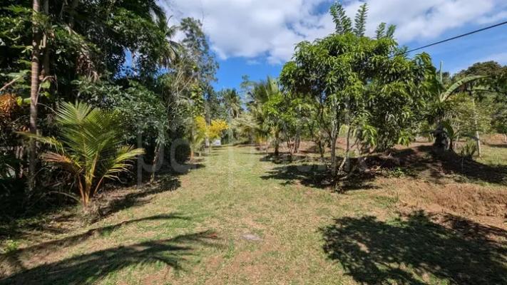 Commercial Land for Sale in Minuwangoda