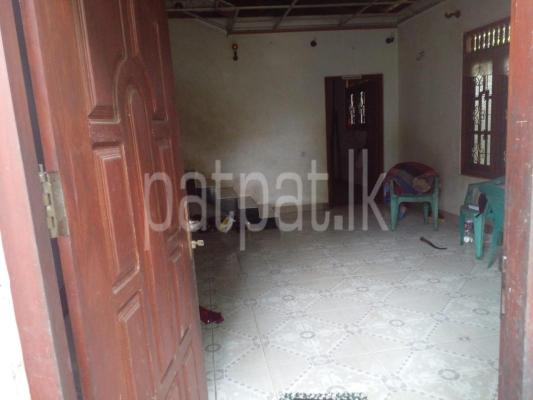 premium-listing-image