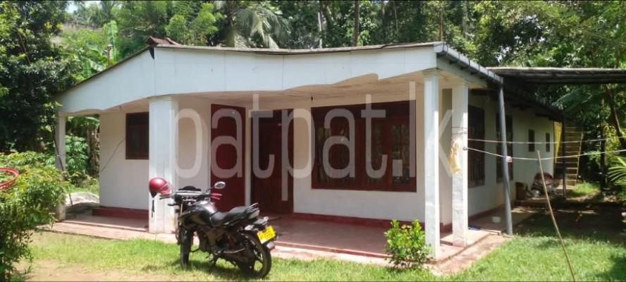 premium-listing-image