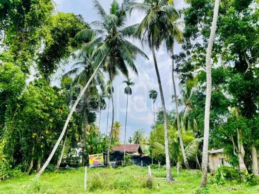 premium-listing-image