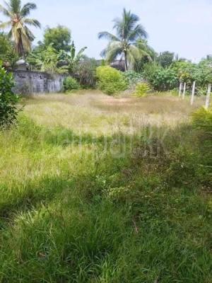 Agricultural Land for Sale in Panadura