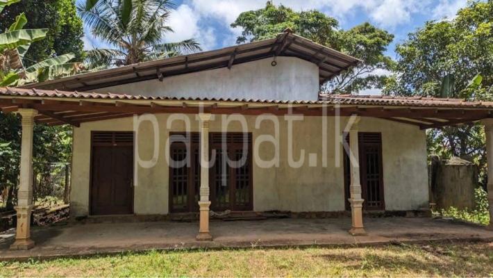 premium-listing-image