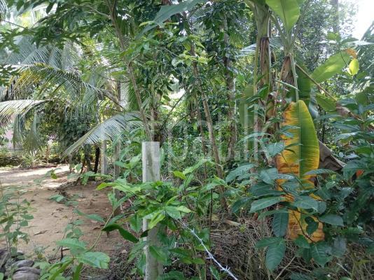 Residential Land for Sale in Gamagoda