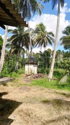 Residential Land for Sale in Wariyapola