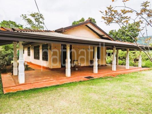 premium-listing-image