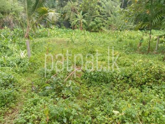 premium-listing-image