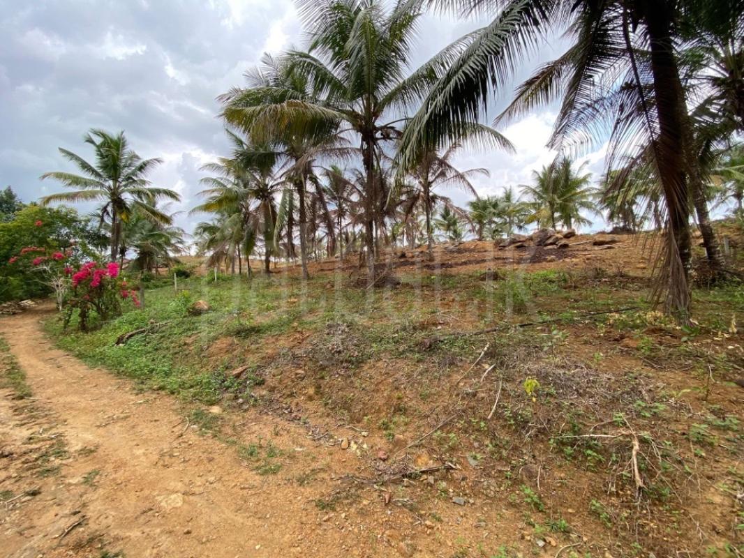 Commercial Land for Sale in Padukka