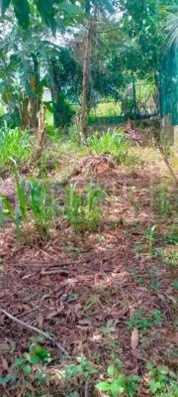 Residential Land for Sale in Gonapola Junction