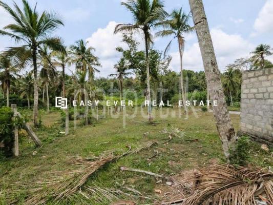 Residential Land for Sale in Kalagedihena