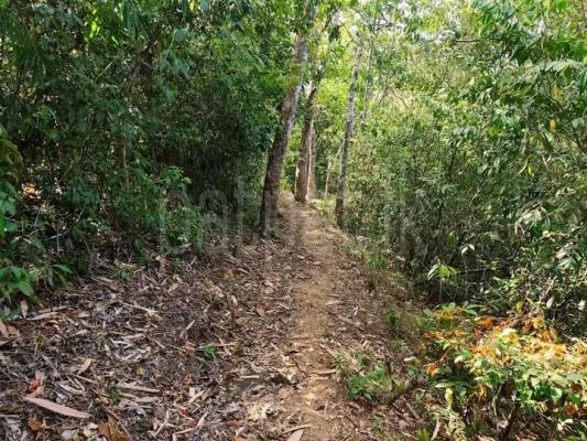 Commercial Land for Sale in Warakapola