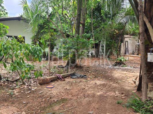 premium-listing-image