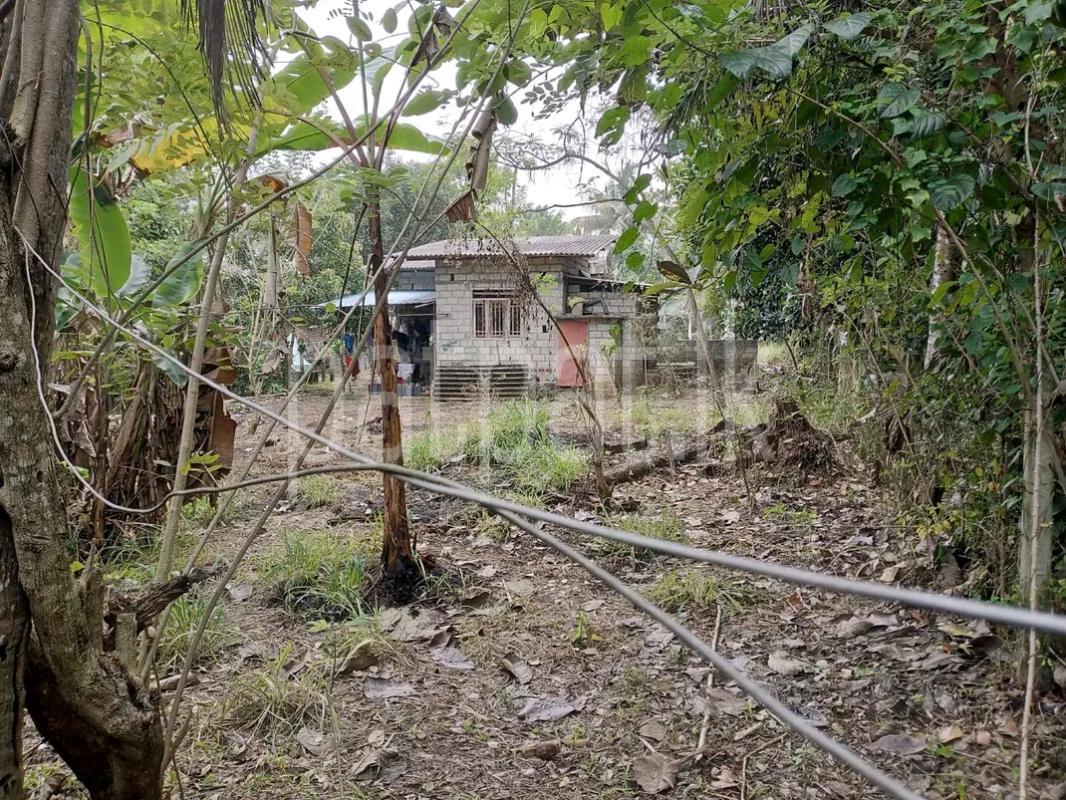 Agricultural Land for Sale in Gampola