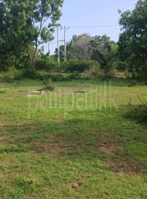 premium-listing-image