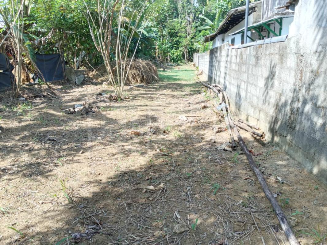 Residential Land for Sale in Nawalapitiya