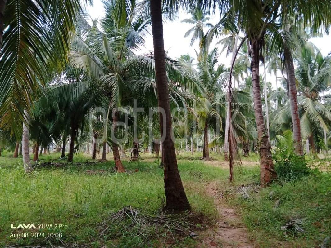 Agricultural Land for Sale in Mahakumbukkadawala