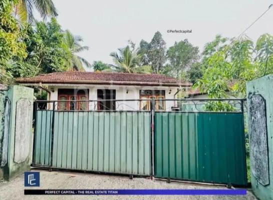 premium-listing-image