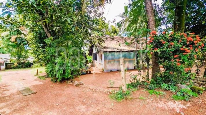 premium-listing-image