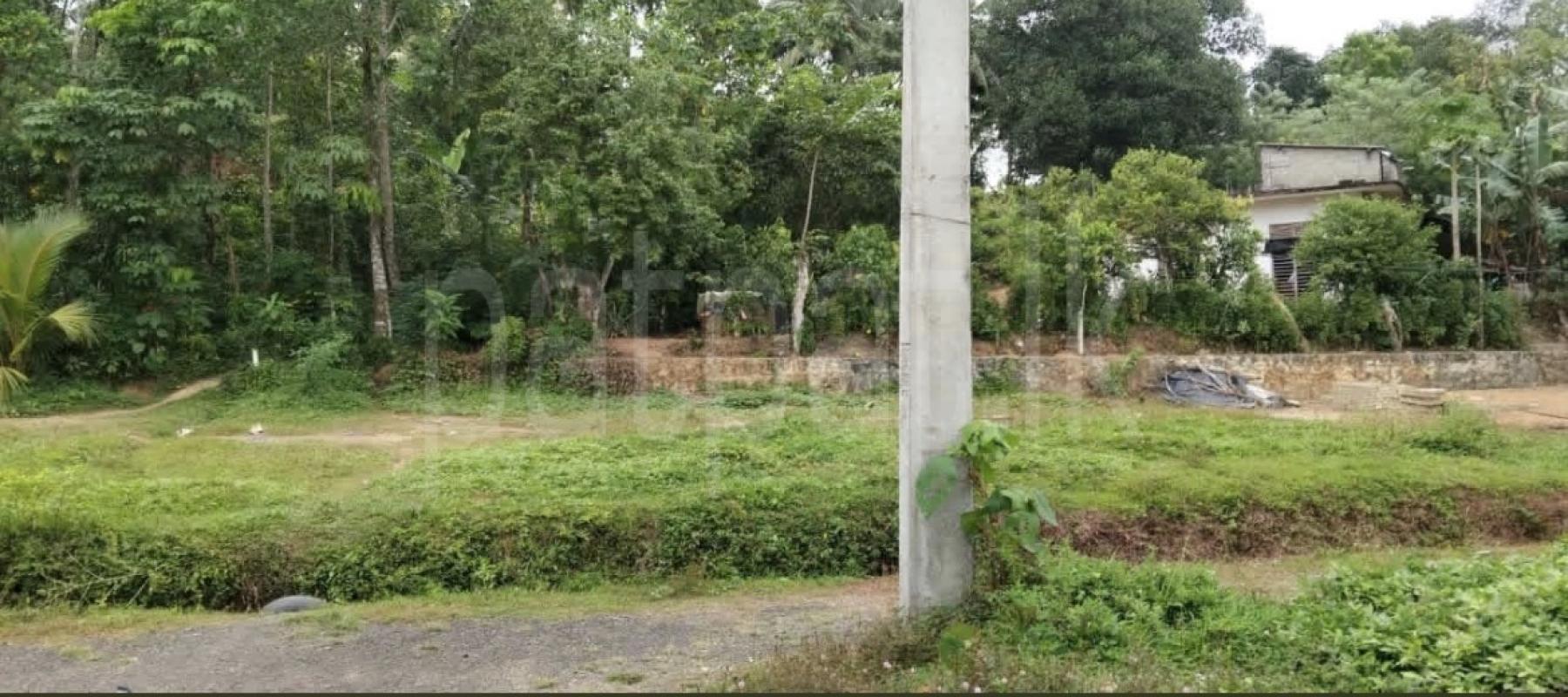 Agricultural Land for Sale in Dodangoda