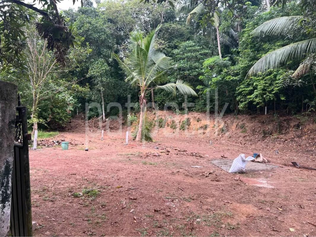Residential Land for Sale in Adampan