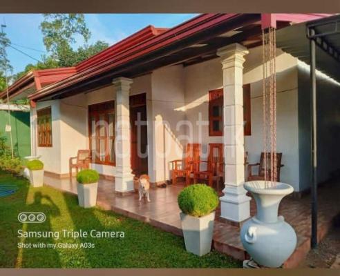 premium-listing-image