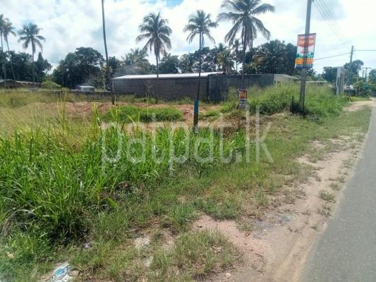 premium-listing-image