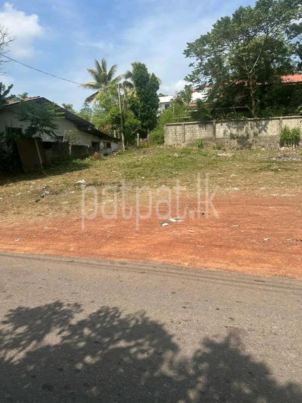 Commercial Land for Sale in Wattala