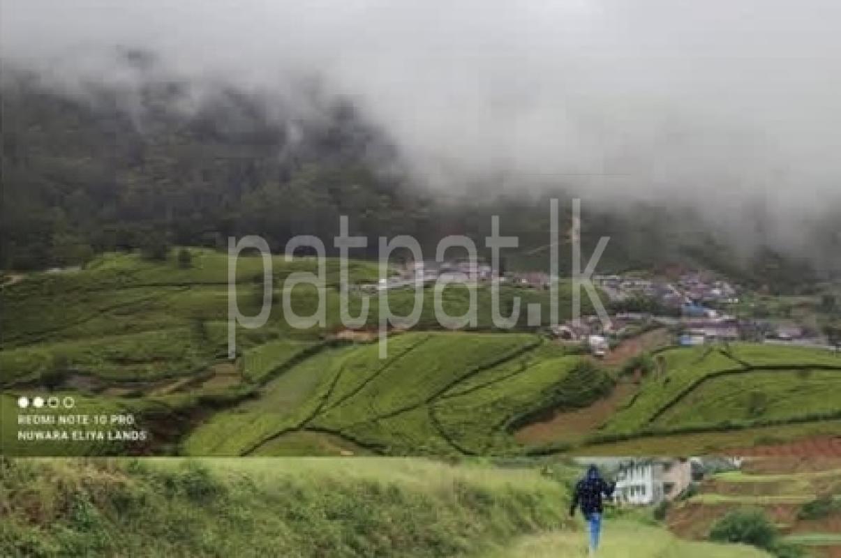 Agricultural Land for Sale in Nuwara Eliya