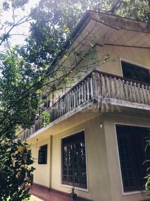 premium-listing-image