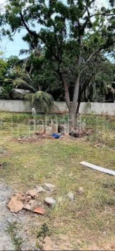 Residential Land for Sale in Kataragama