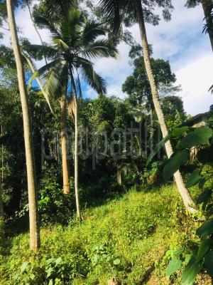 Residential Land for Sale in Deniyaya