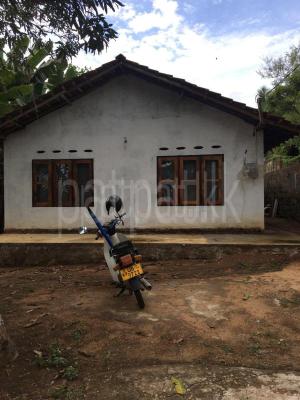 premium-listing-image