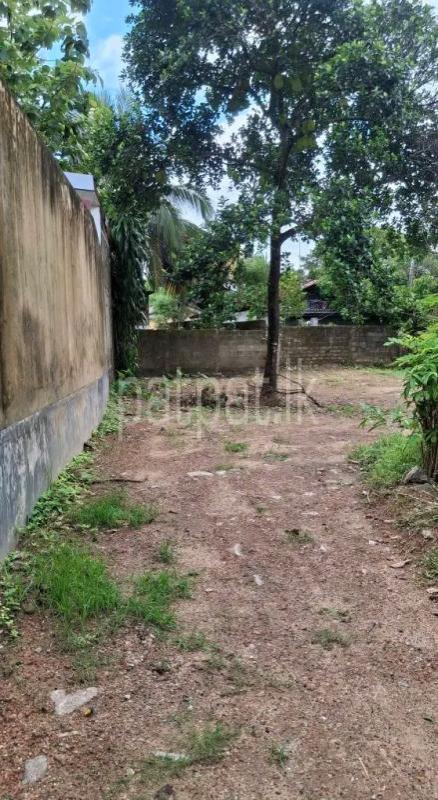 Commercial Land for Sale in Chilaw