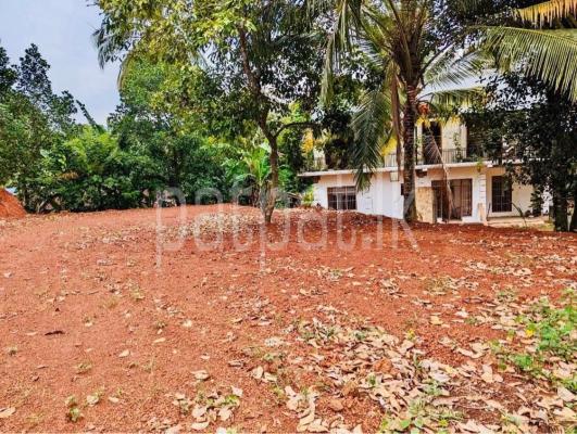 premium-listing-image