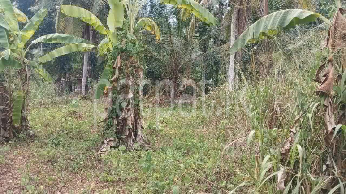 Agricultural Land for Sale in Negombo