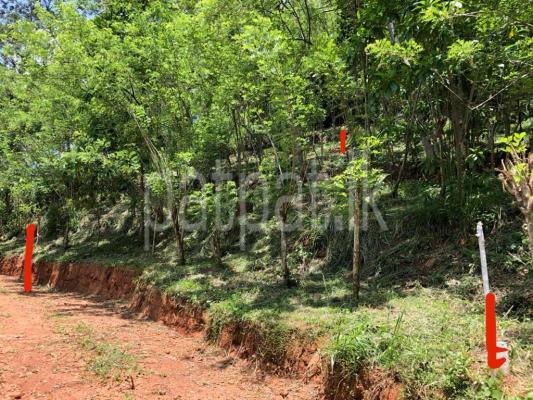 premium-listing-image