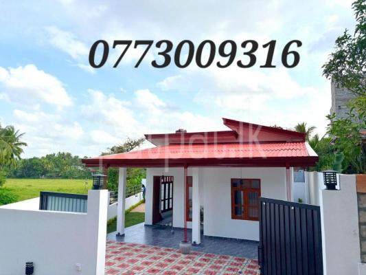 premium-listing-image