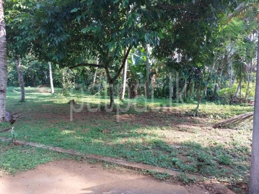 premium-listing-image