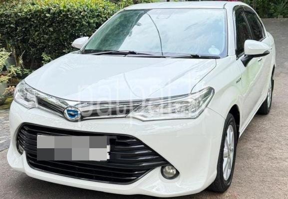 premium-listing-image