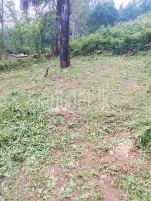 Commercial Land for Sale in Haputale