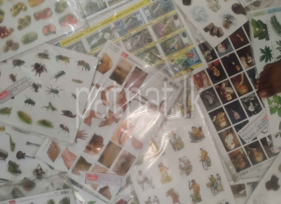 premium-listing-image