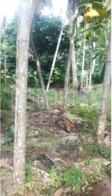 Residential Land for Sale in Nikaweratiya