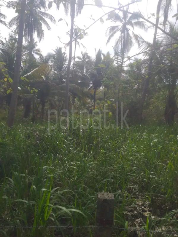 Commercial Land for Sale in Hambantota