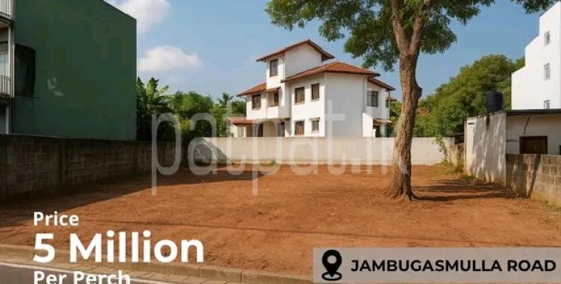 premium-listing-image